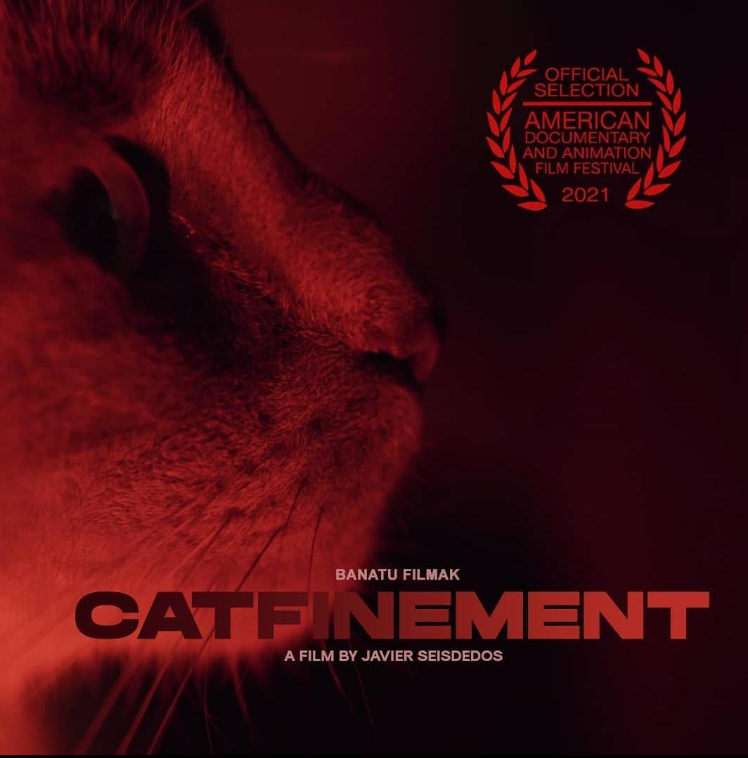 Catfinement
